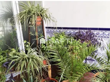 Planta baja en  Calle Maestro Manzanares 55 - Foto 9