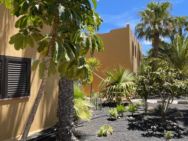 Estudio en Calle Pedro y Guy Vandaele, 19, Corralejo, La Oliva - Foto 16