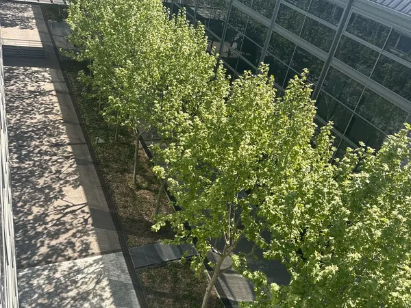 Dúplex en calle Antonio Suárez, 10 - Foto 27