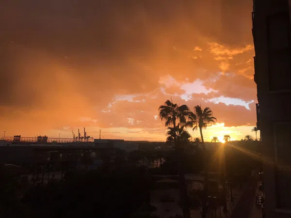 Piso en avenida Eusebi Sempere, 1 - Foto 11