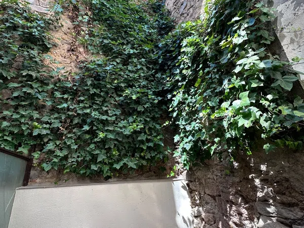 Piso en Calle de Francisco Muñoz, 7, Centro - Casco Histórico - Foto 20