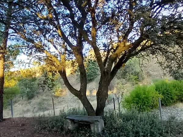 Finca rústica en Carretera de San Antonio s/n - Foto 21