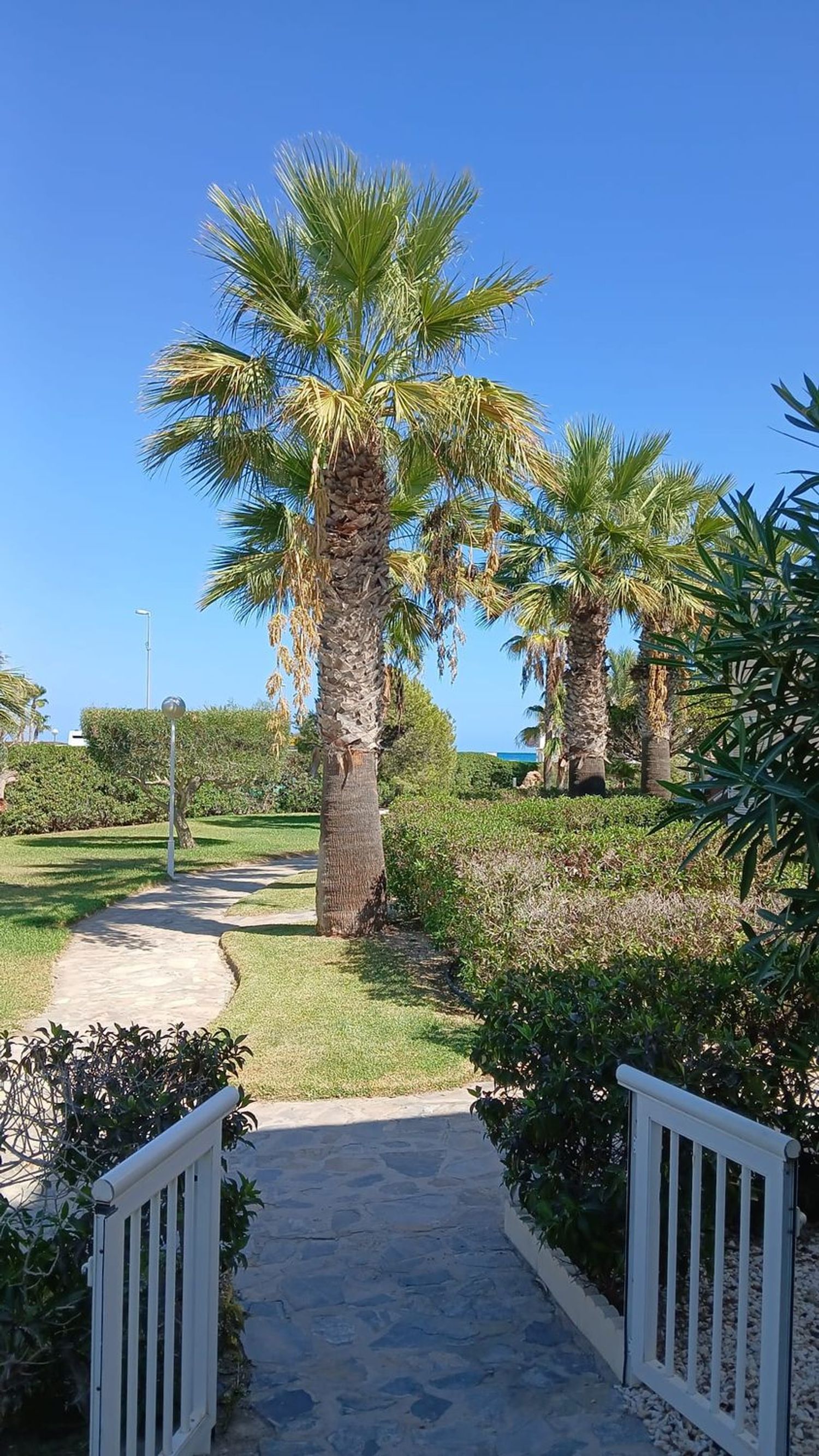 Piso en Calle Naturaleza, 1, Vera Playa Naturista, Vera Playa Naturista - Foto 17