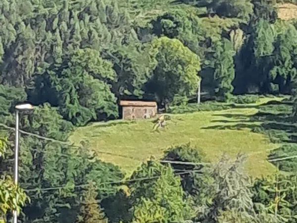 Casa de pueblo en Ca-260, 156 - Foto 4
