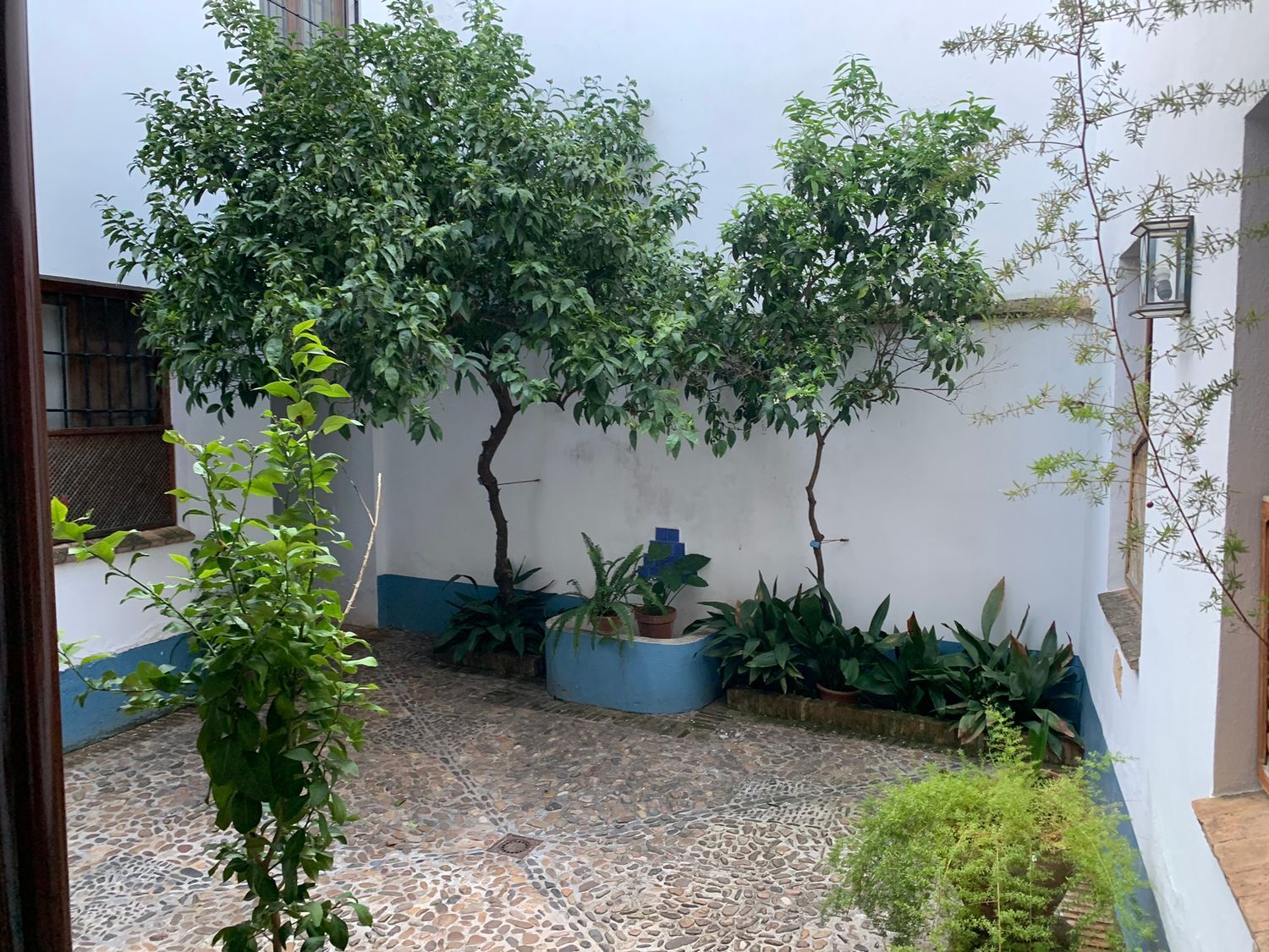 Piso en calle Averroes, 10 - Foto 3