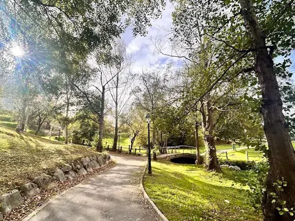 Piso en calle Fuente de la Plata, 65 - Foto 13