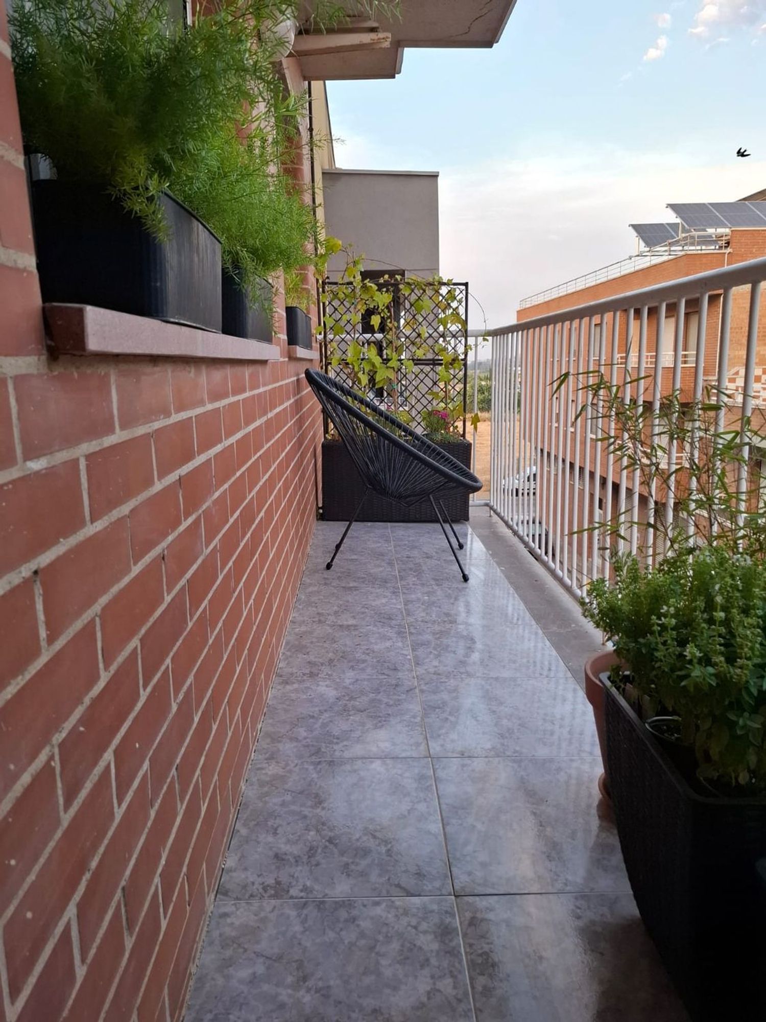 Piso en Calle dels Erals, 10, Balafia, Balafia - Foto 16