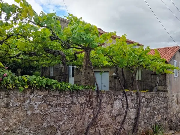 Casa de pueblo en Calle de Vigo, 115 - Foto 8