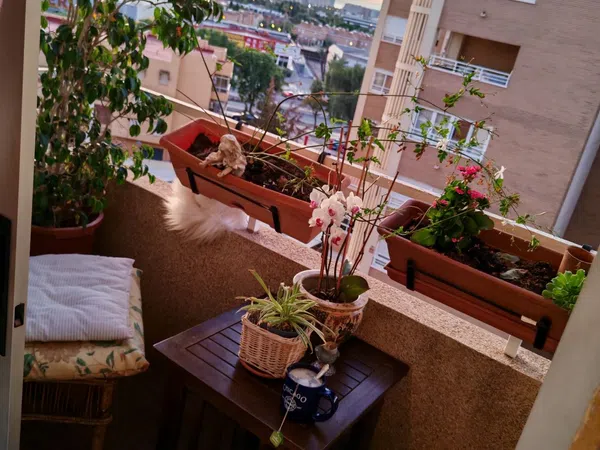 Piso en Calle del Notario Salvador Montesinos Bonet, 17, Centro, Centro - Foto 16