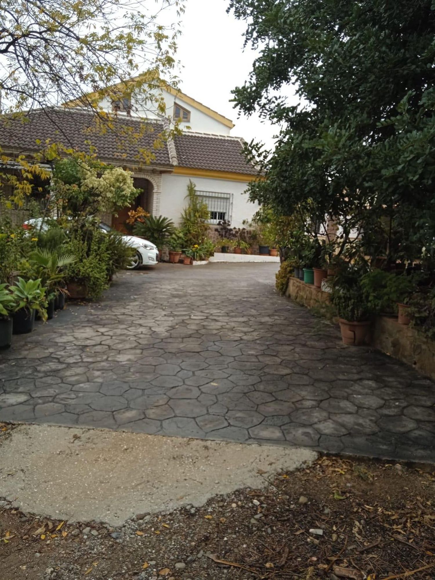 Finca rústica en Calle Sócrates, 56 - Foto 16