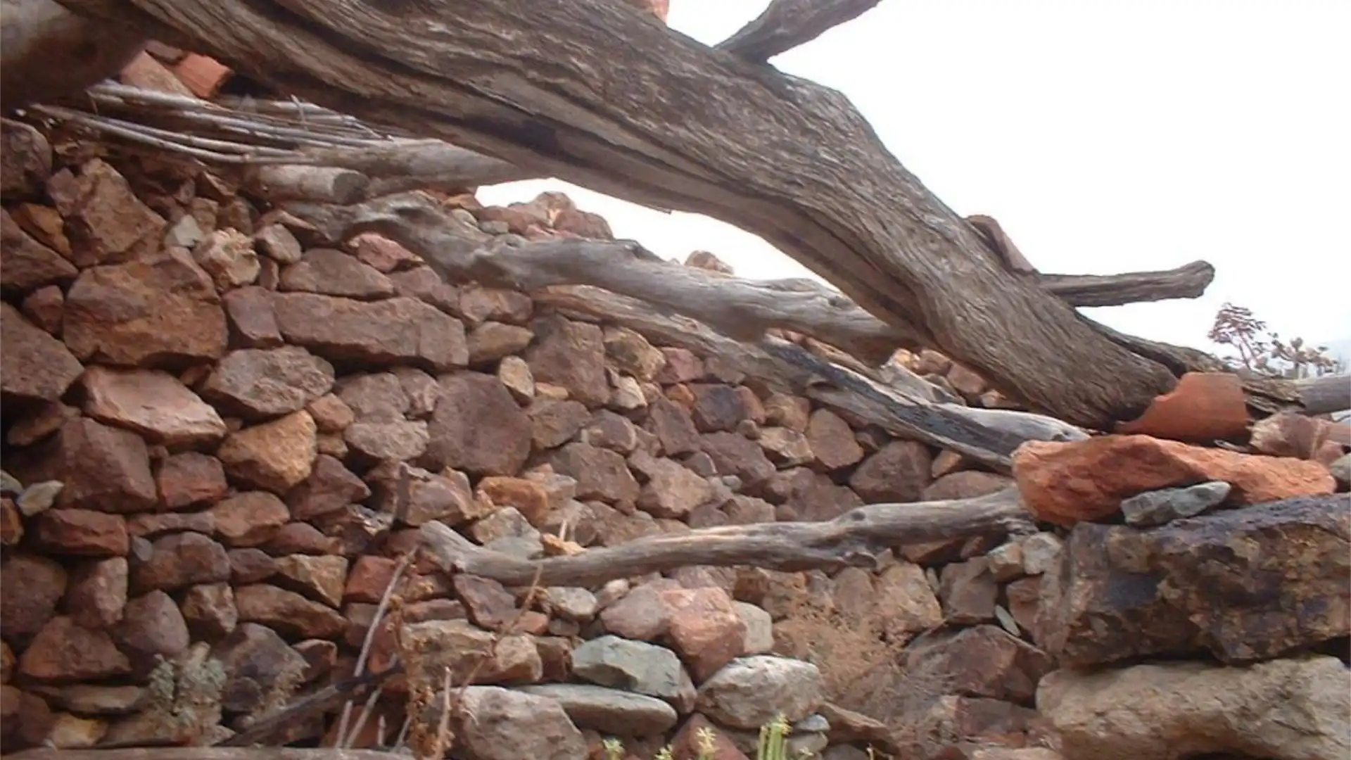 Finca rústica en calle Calle Espíritu Santo 15 - Foto 50