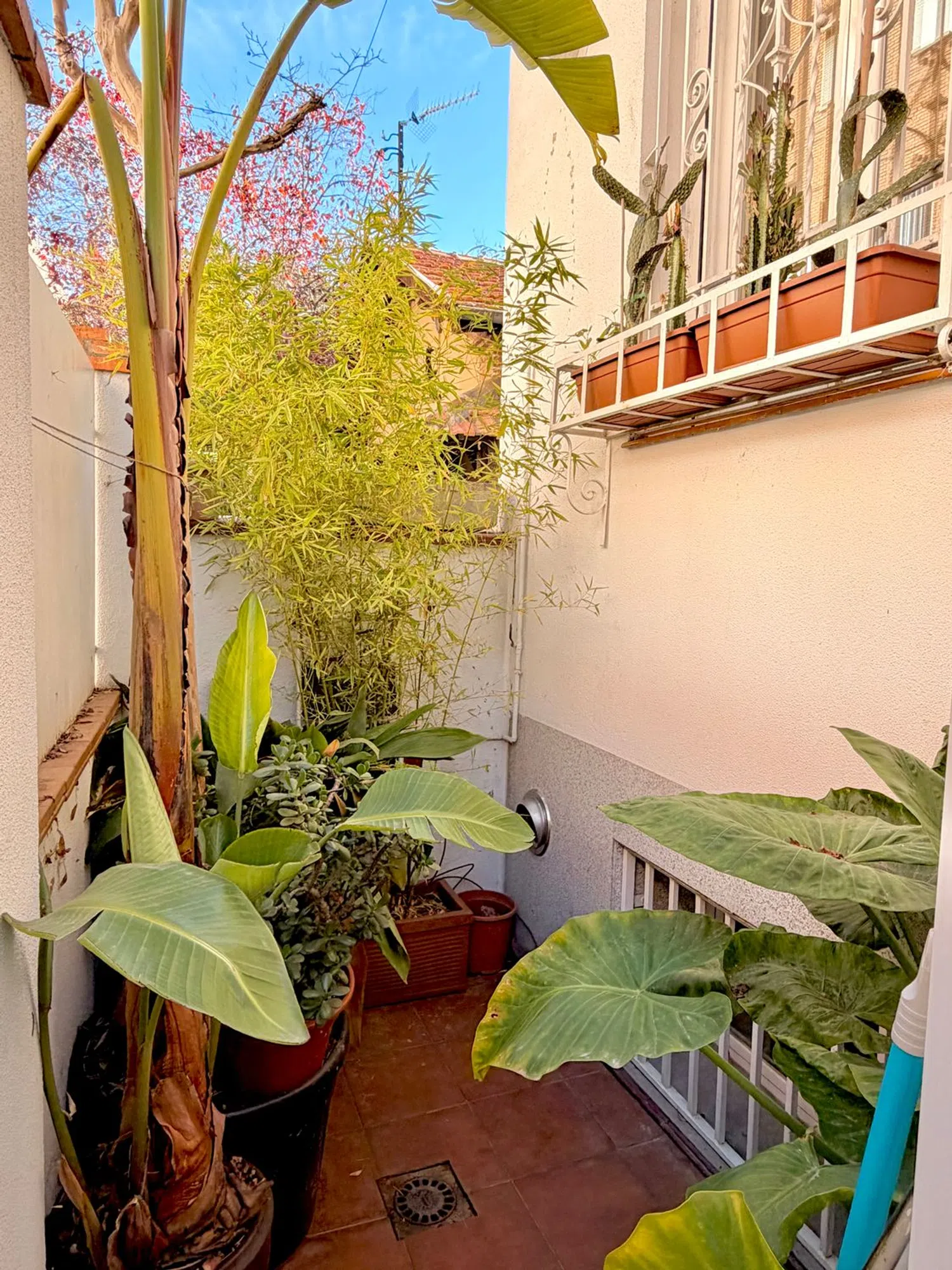 Chalet pareado en Barrio Fuente del Berro - Foto 36