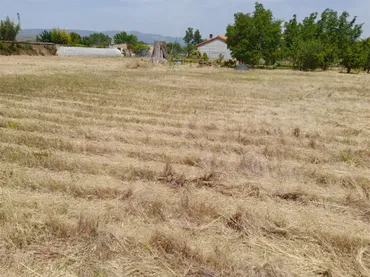 Finca rústica en  Camino de Pastoriza 8 - Foto 6