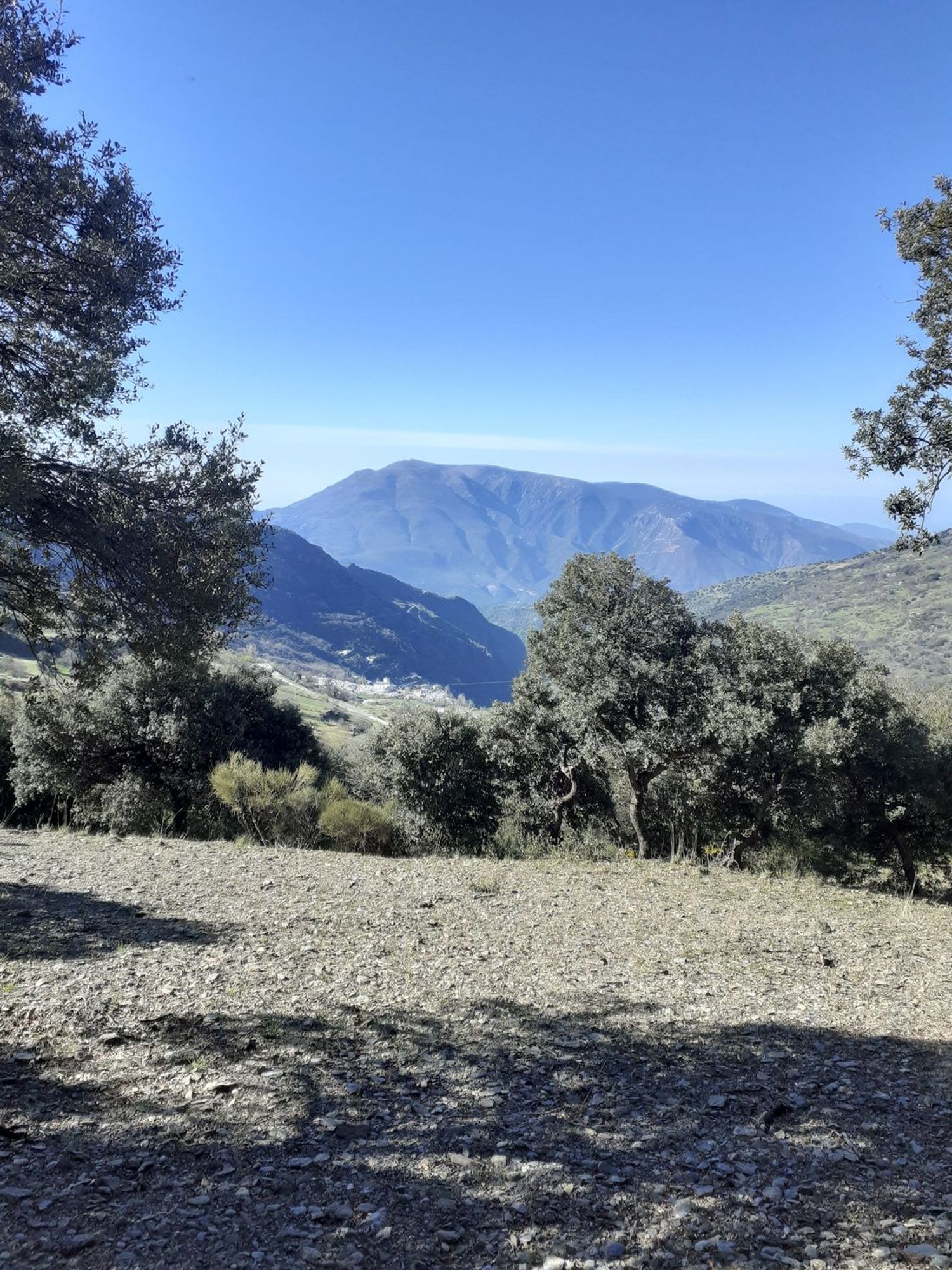 Cortijo en Cortijo en Diseminado Extrarradio, 35 - Foto 8