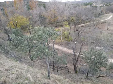 Finca rústica en  M-505 10 - Foto 9