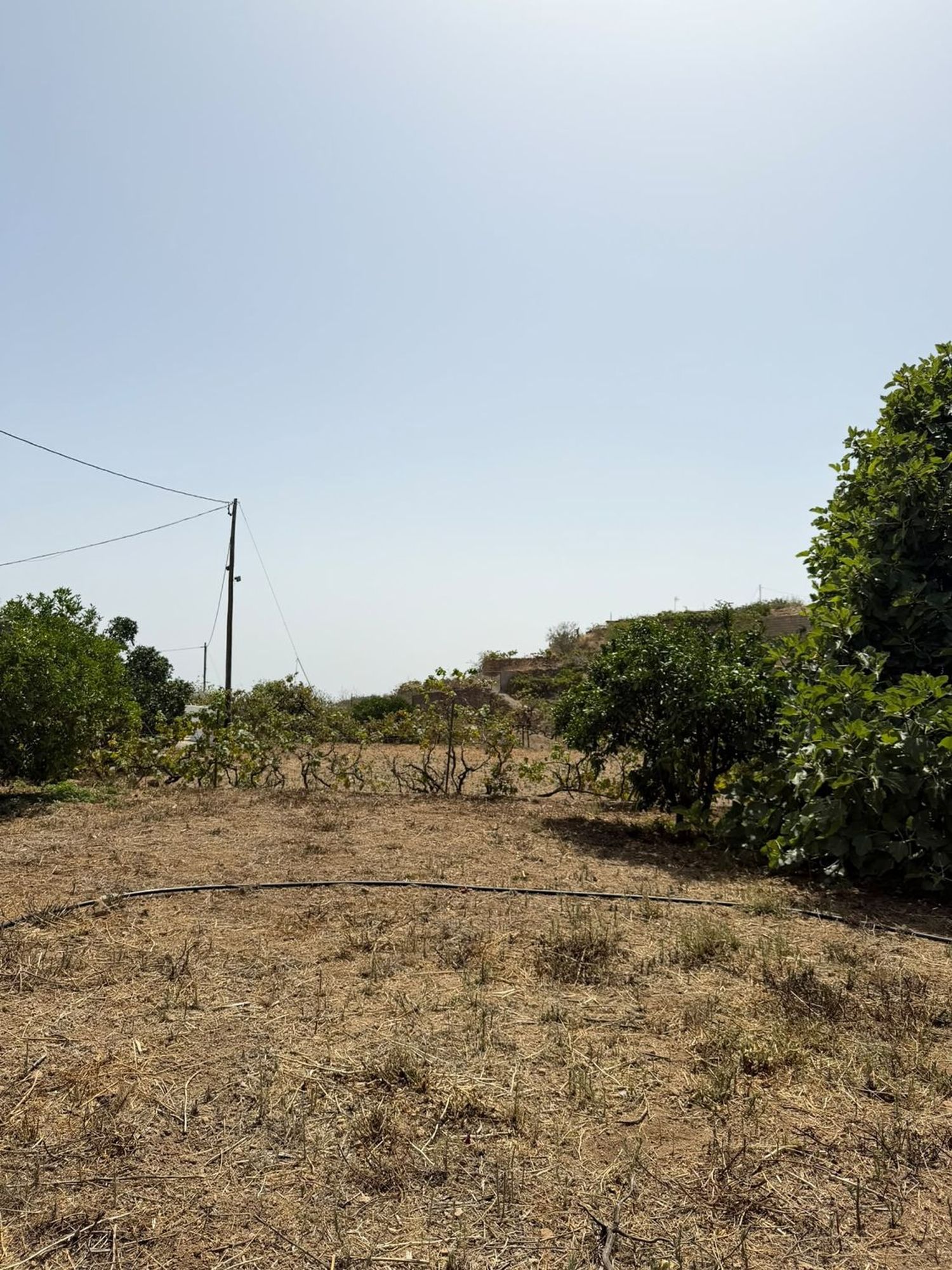 Finca rústica en Crta ortiz s/n - Foto 20