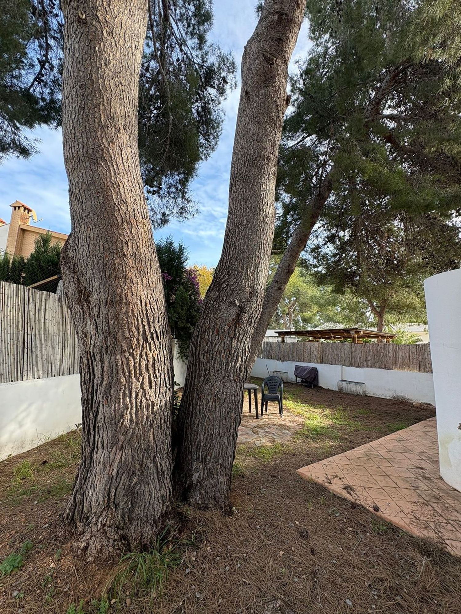 Casa o chalet independiente en Calle 220, La Cañada, La Cañada - Foto 21