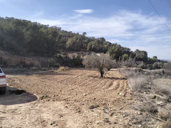 Finca rústica en La Zarza s/n - Foto 3