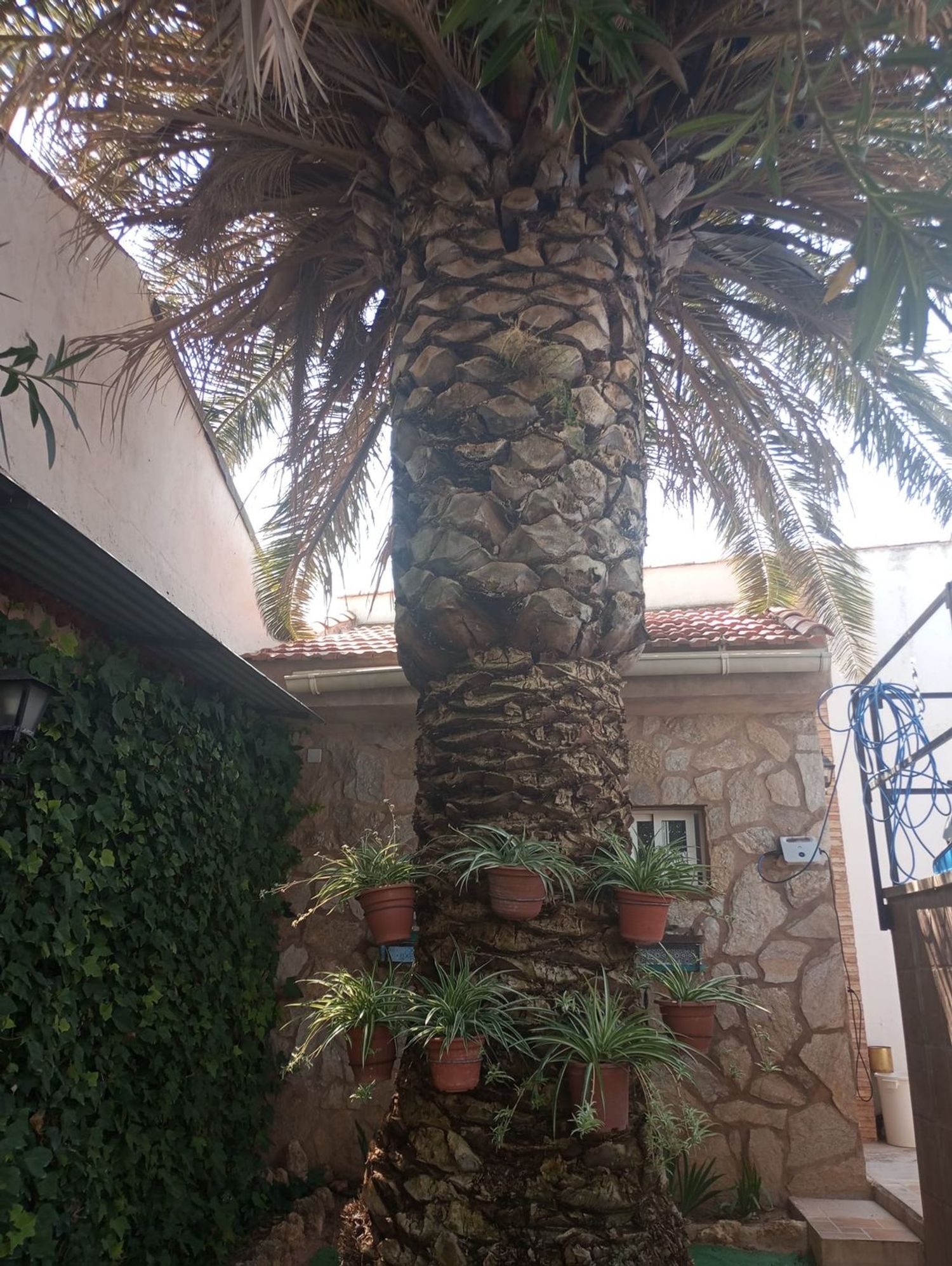 Casa o chalet independiente en Calle del quinto centenario del nacimiento de santa teresa de Jesús, 8 - Foto 14