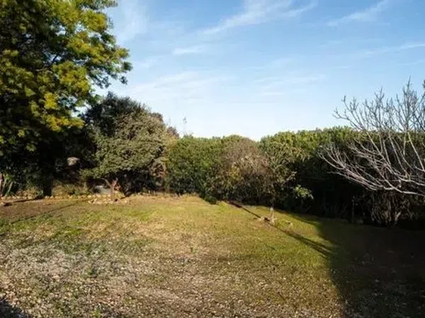 Casa o chalet independiente en Calle Olivar Viejo, 20, Brillante - Foto 6