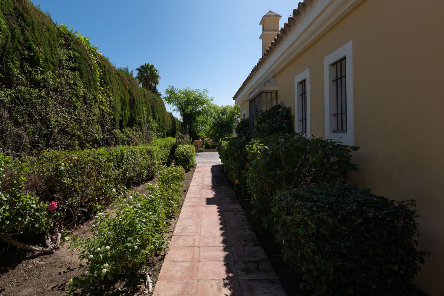 Casa o chalet independiente en Alto, 1, Sotogrande Costa, Sotogrande Costa - Foto 7