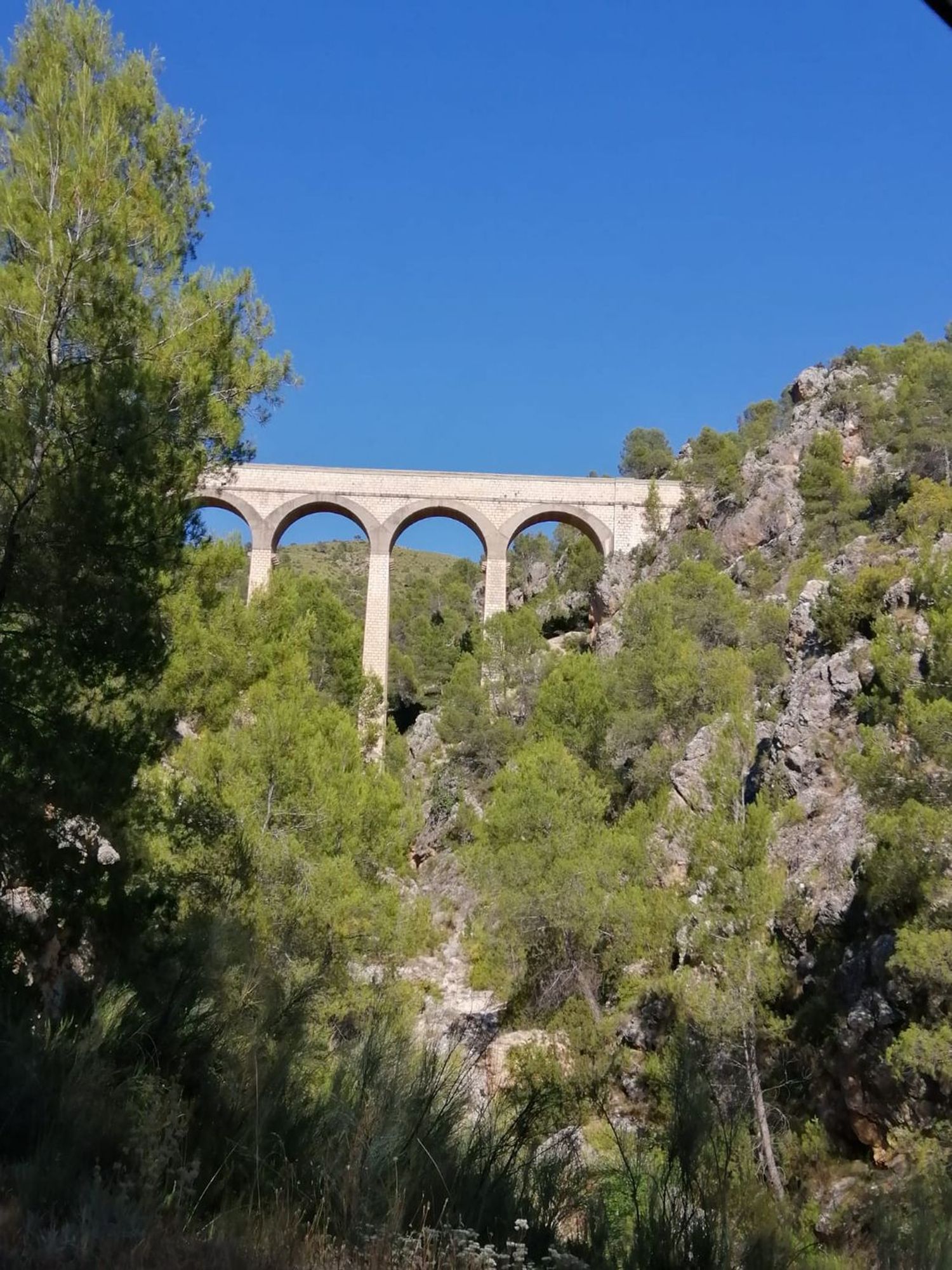 Cortijo en Cortijo Los Hipólitos s/n - Foto 7