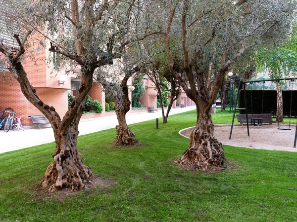 Piso en calle de la Aurora, 23 - Foto 28