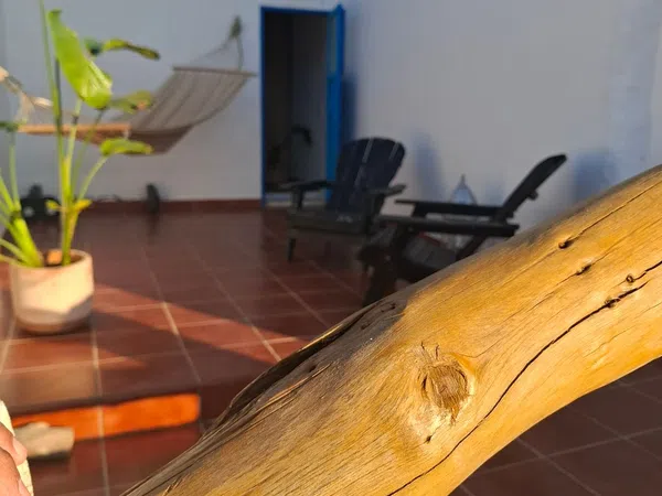 Casa rural en Pagos los llanos s/n - Foto 13