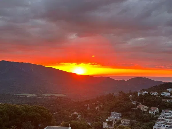 Finca rústica en Passatge Gessamins, 20, Serra Brava, Serra Brava - Foto 10