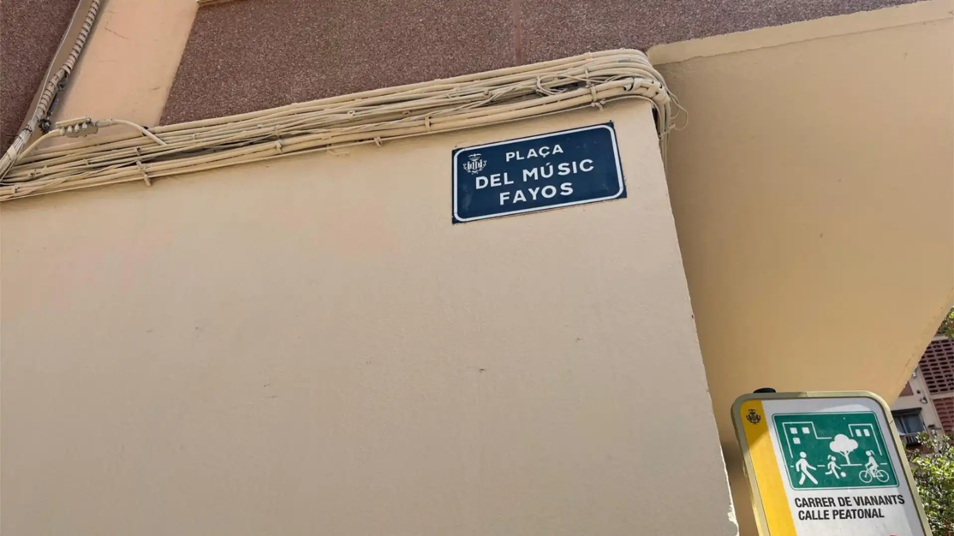 Planta baja en  Plaça del Músic Fayos 40 - Foto 12