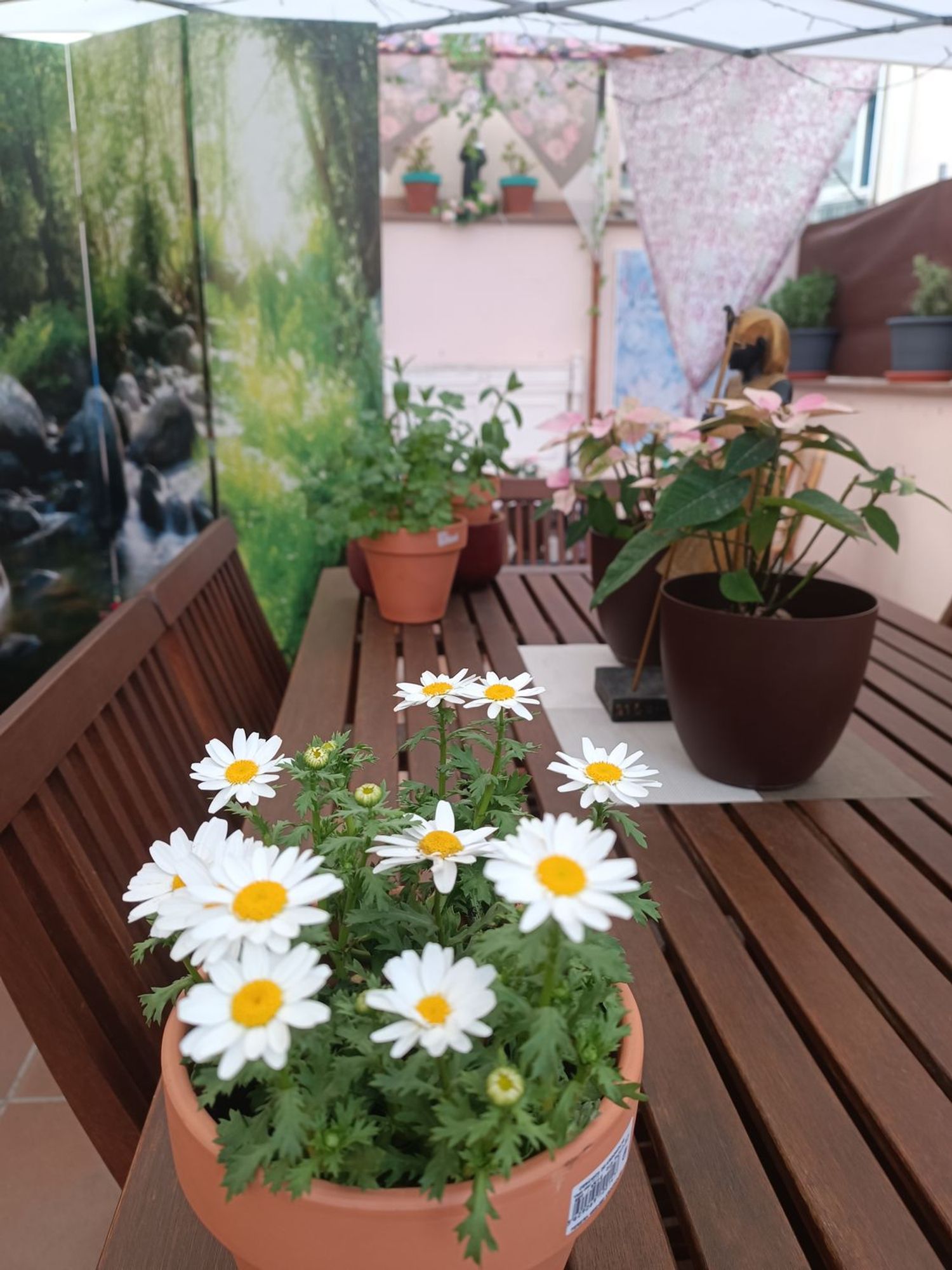 Piso en calle de l' Estalvi, 28 - Foto 3