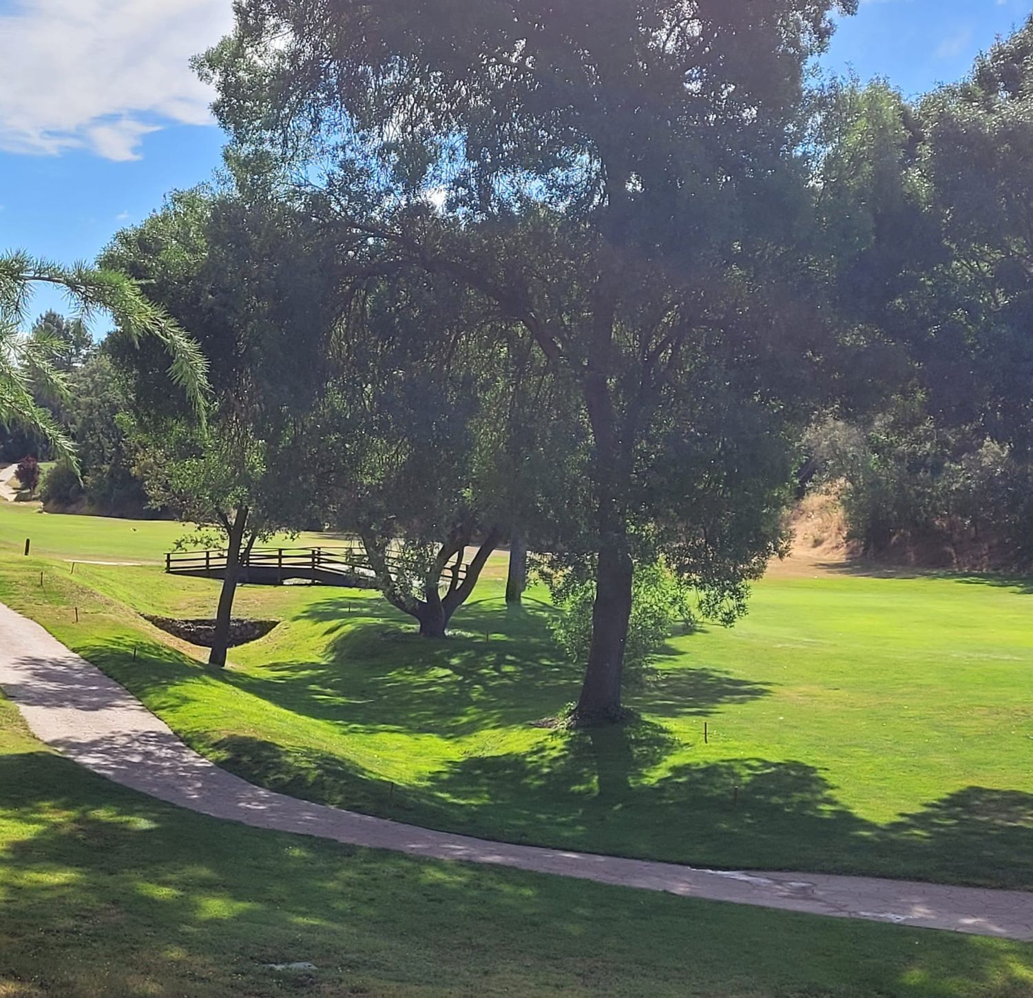 Piso en Calle Manuel de Falla, 21, Golf - El Carralero - Foto 31