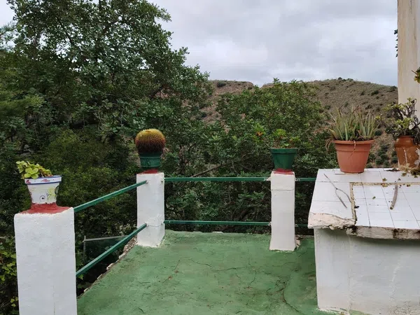 Finca rústica en Carretera de Casabermeja, 1 - Foto 3