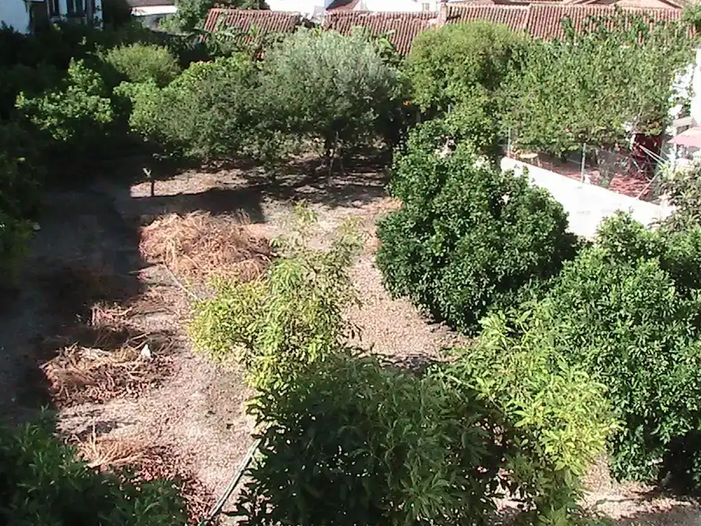 Finca rústica en  Calle Parradas 13 - Foto 40