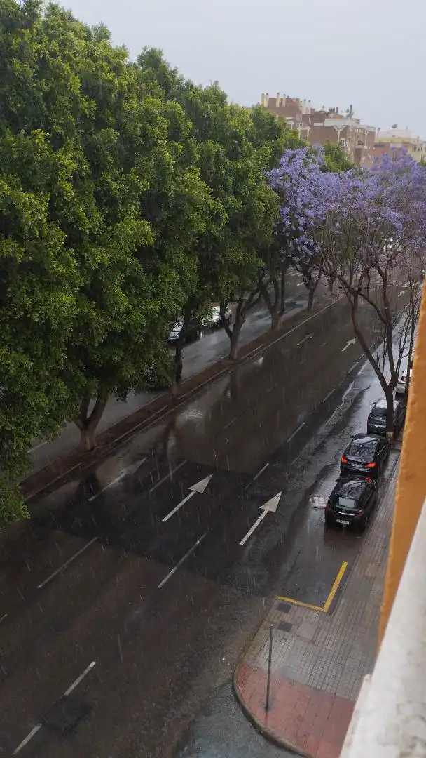 Piso en  Avenida del Mediterráneo 243 - Foto 4