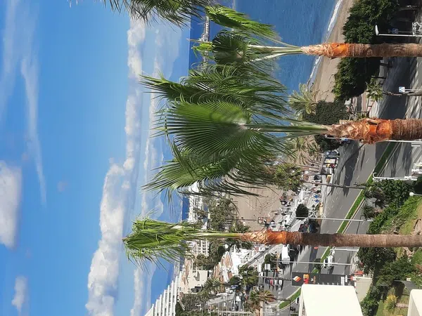 Estudio en avenida del Parque, 3 - Foto 31