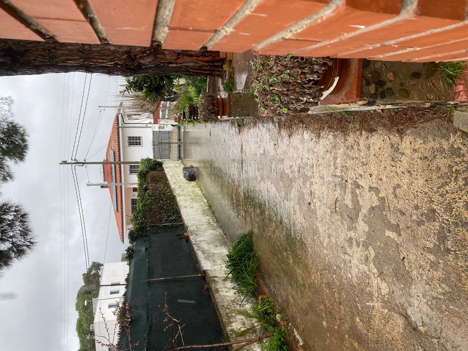 Casa independiente en calle d'Arenys de Mar, 27 - Foto 12