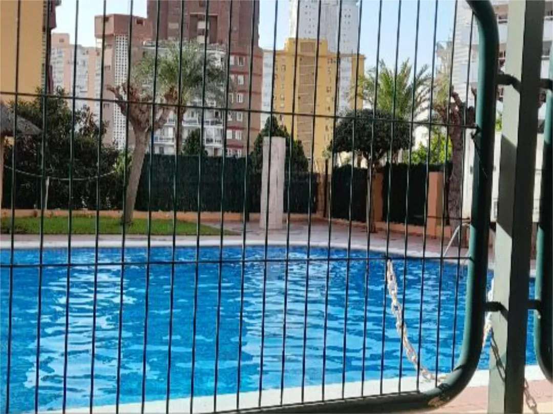 Piso en  Avenida del Doctor Orts Llorca 11 - Foto 4