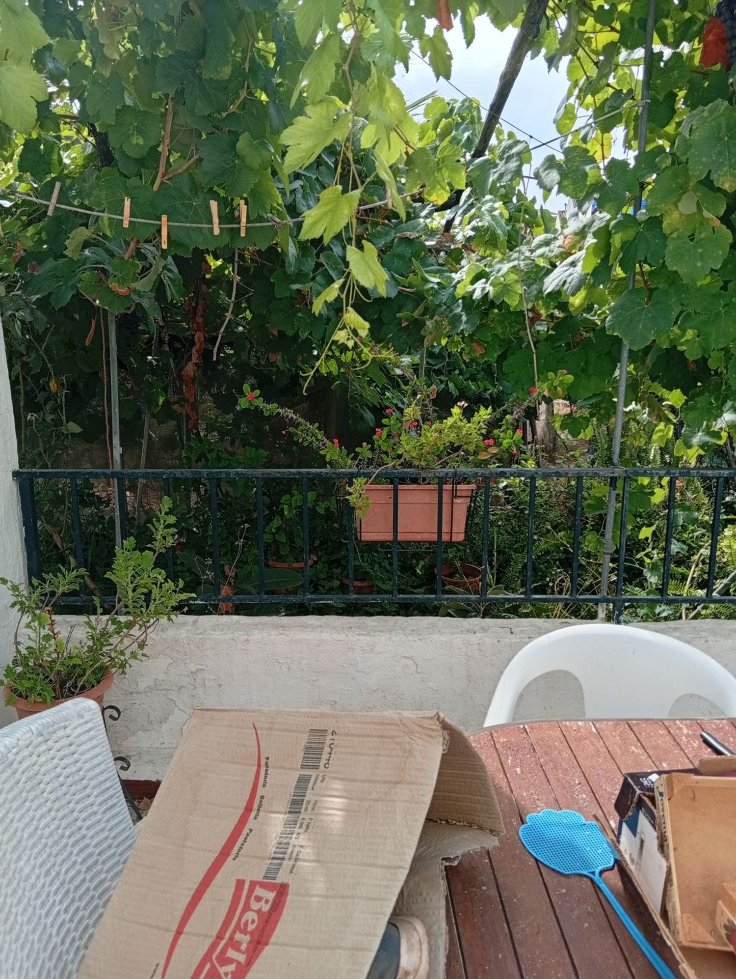 Finca rústica en Calle Galdames, 108, Ayamonte Pueblo, Ayamonte Pueblo - Foto 13
