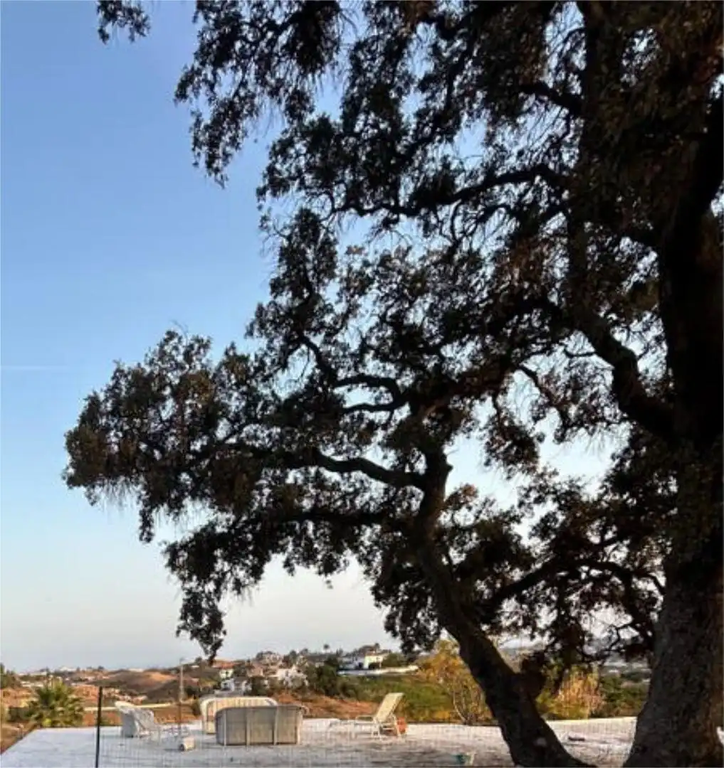 Chalet en Fuengirola (Malaga ) - Foto 2