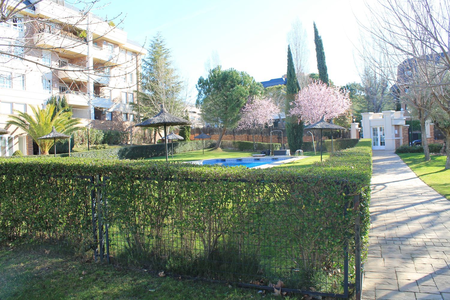 Piso en Avenida de la Oliva, 5, Golf - El Carralero, Golf - El Carralero - Foto 50