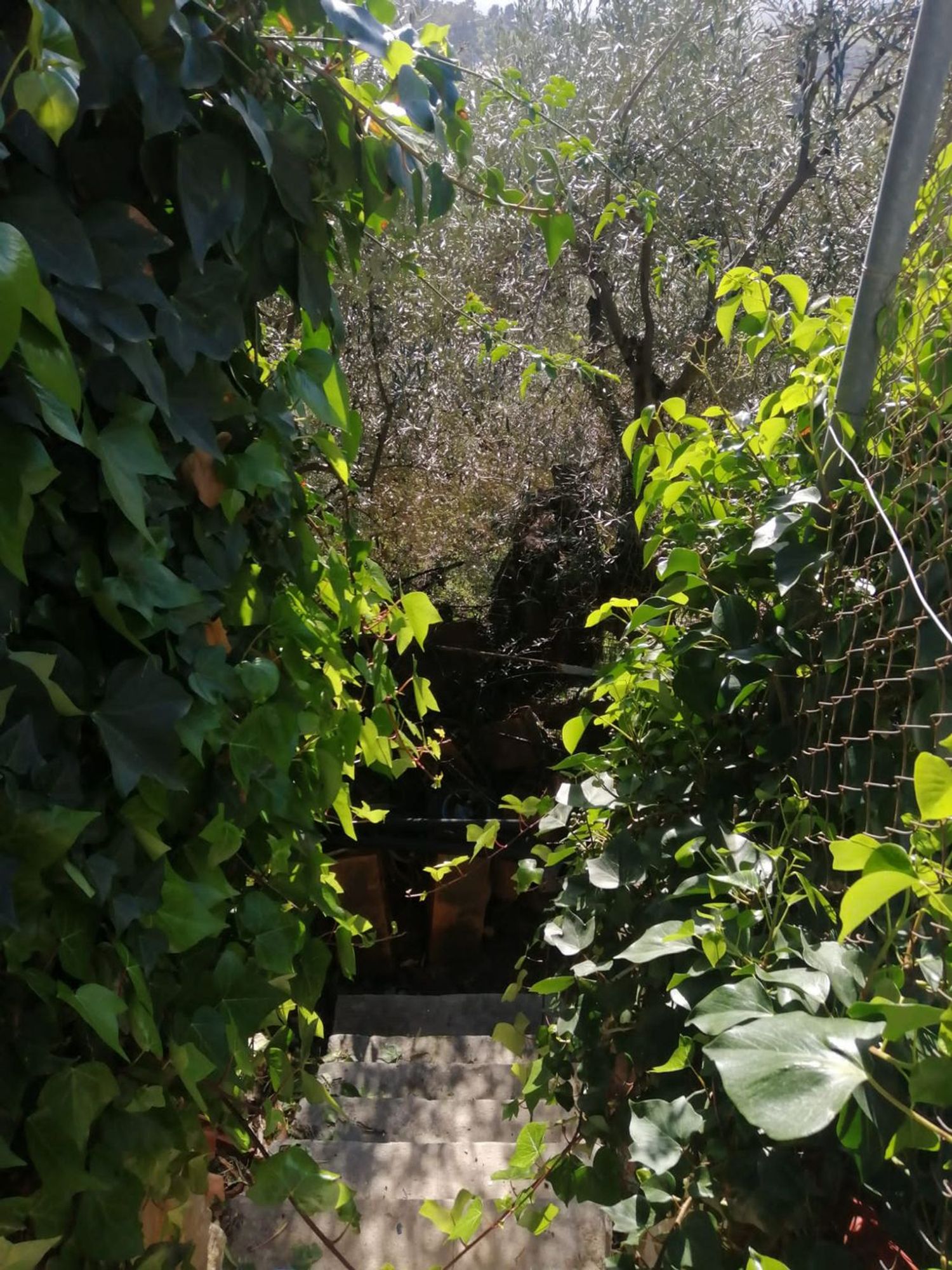 Casa rural en Barriada Don Ramón, 19, Diseminados - Foto 19
