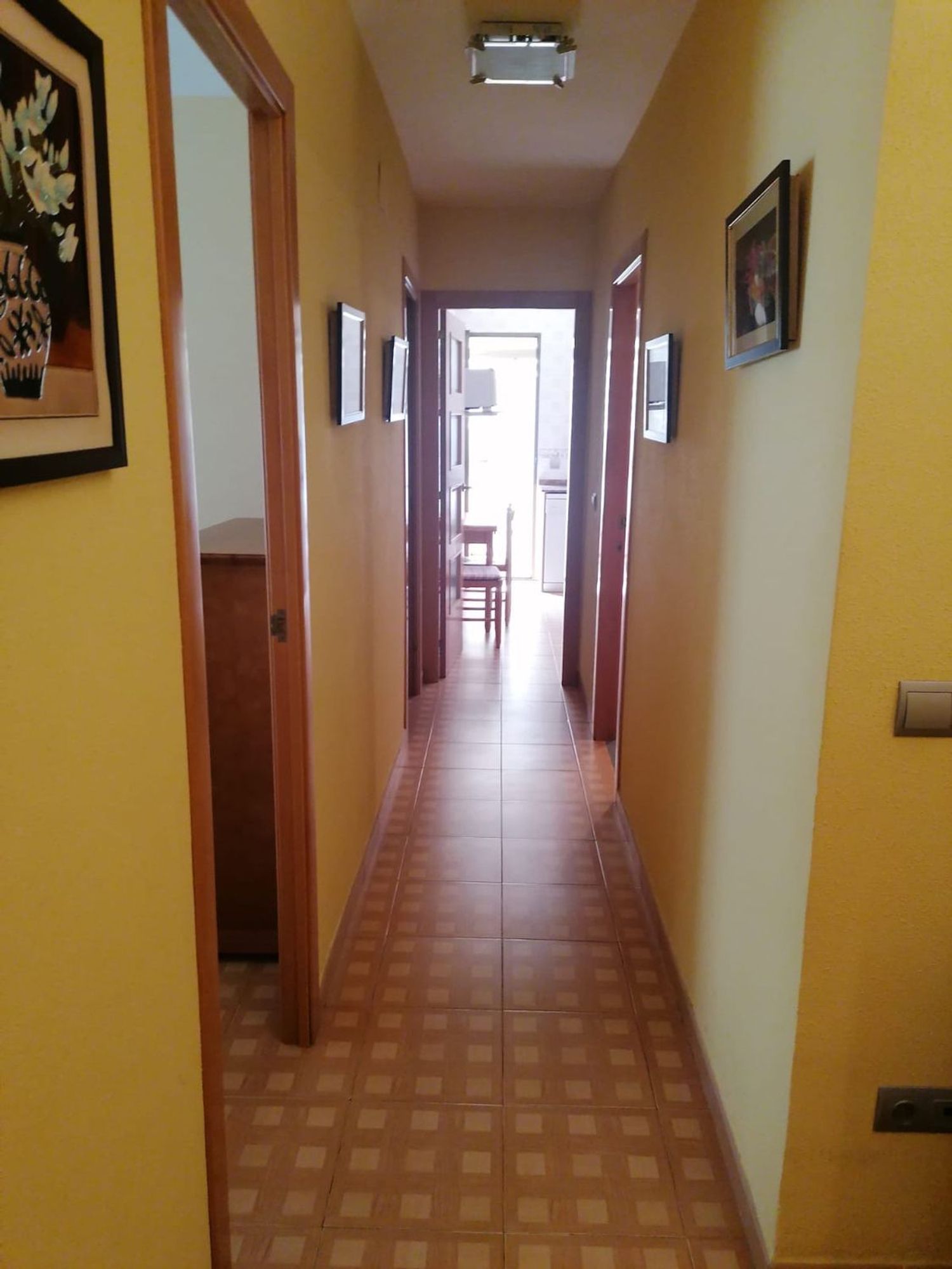 Piso en Avenida Ferrandis Salvador, 288, Curva, Curva - Foto 24