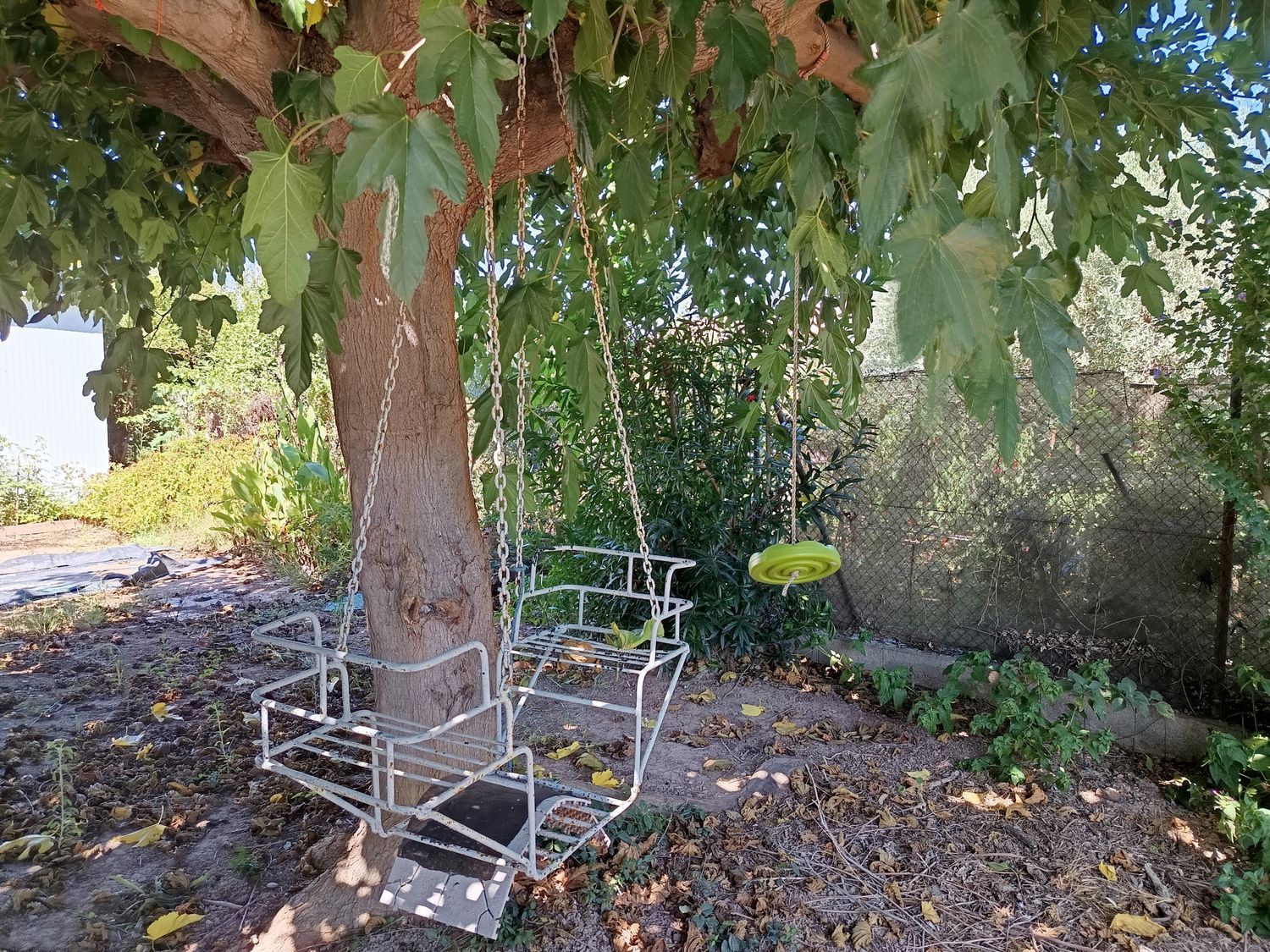 Cortijo en Cortijo en Partida Poligono 22, 220, Zona Llombai, Zona Llombai - Foto 20