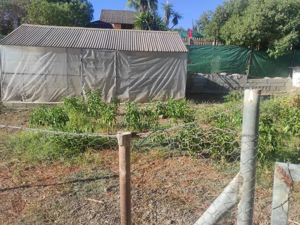 Finca rústica en Villa del Guadalhorce, 1, Villafranco del Guadalhorce, Villafranco del Guadalhorce - Foto 22