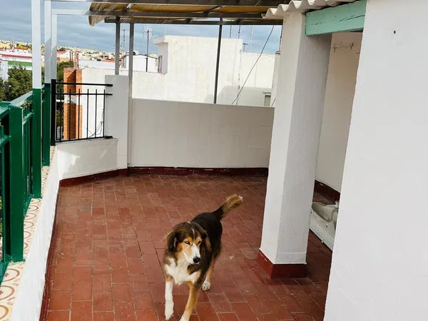 Ático en Avenida de los Almogávares, 46, Valdeolleros - Zumbacón - Camping, Córdoba - Foto 7