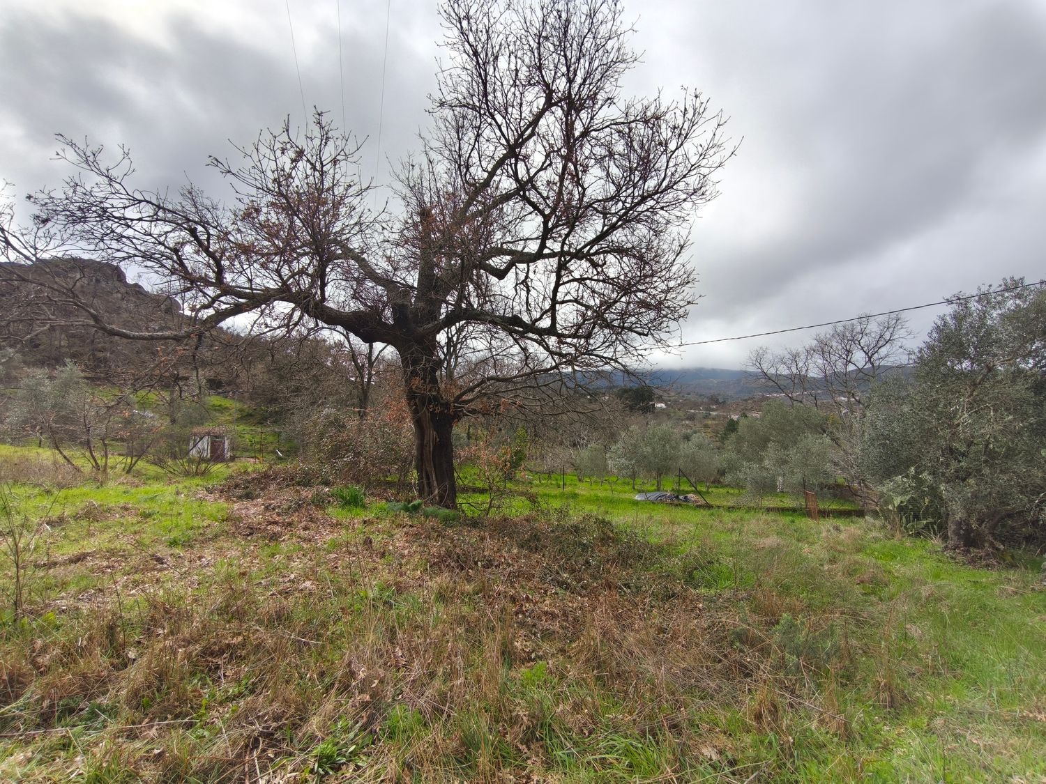 Finca rústica en Poblado los Arroyos de Abajo, 39 poligonoparcela - Foto 23