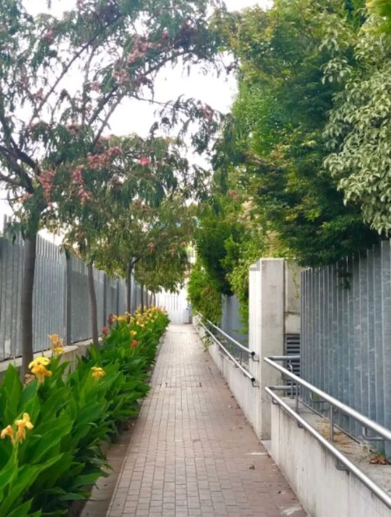 Piso en plaza Alcalde Moreno Torres, 1 - Foto 25