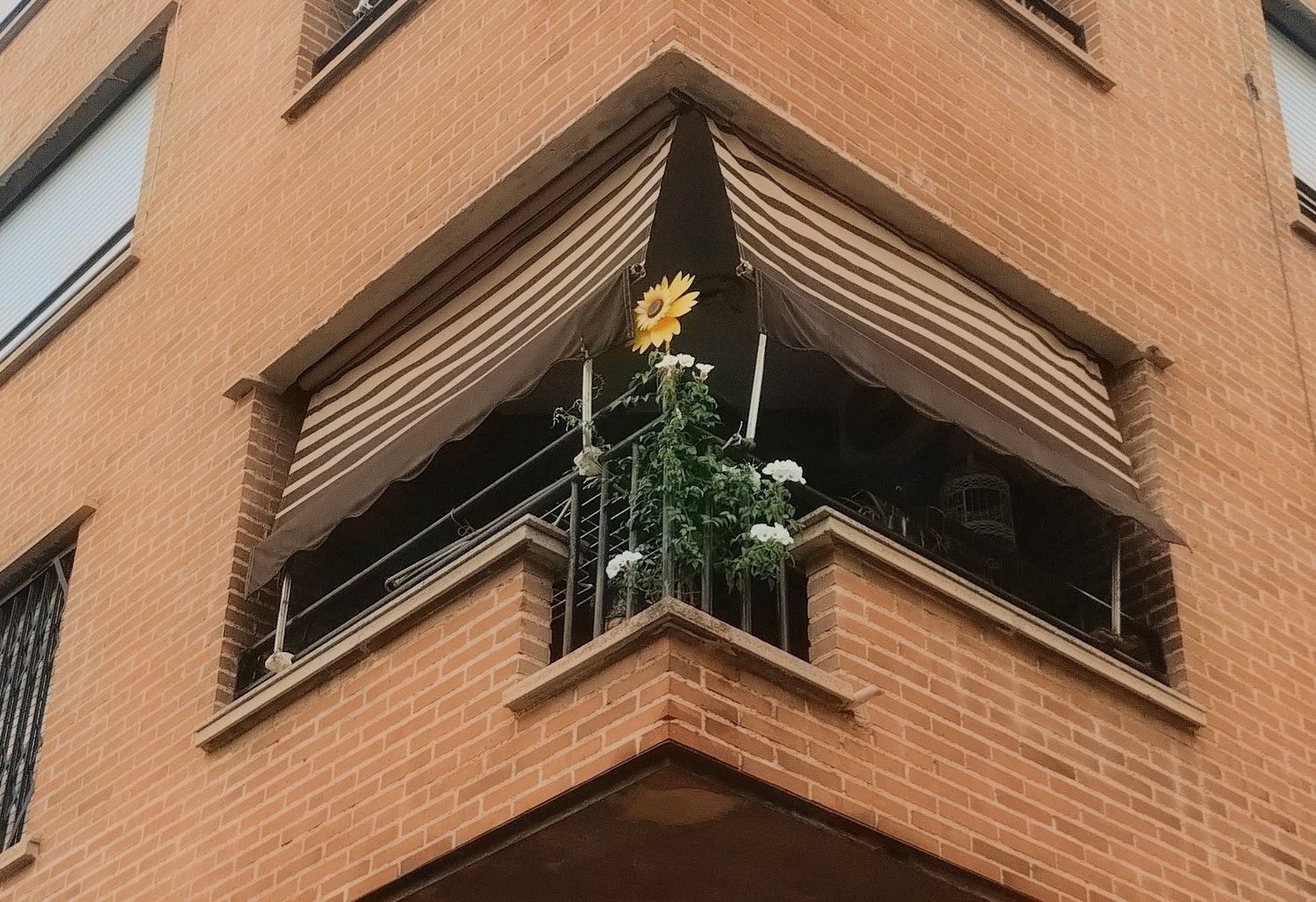 Piso en Calle Pinatar, 1, San Pío X - Foto 19