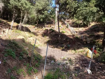 Nave Industrial en  Camí de Can Sardà 44 - Foto 36